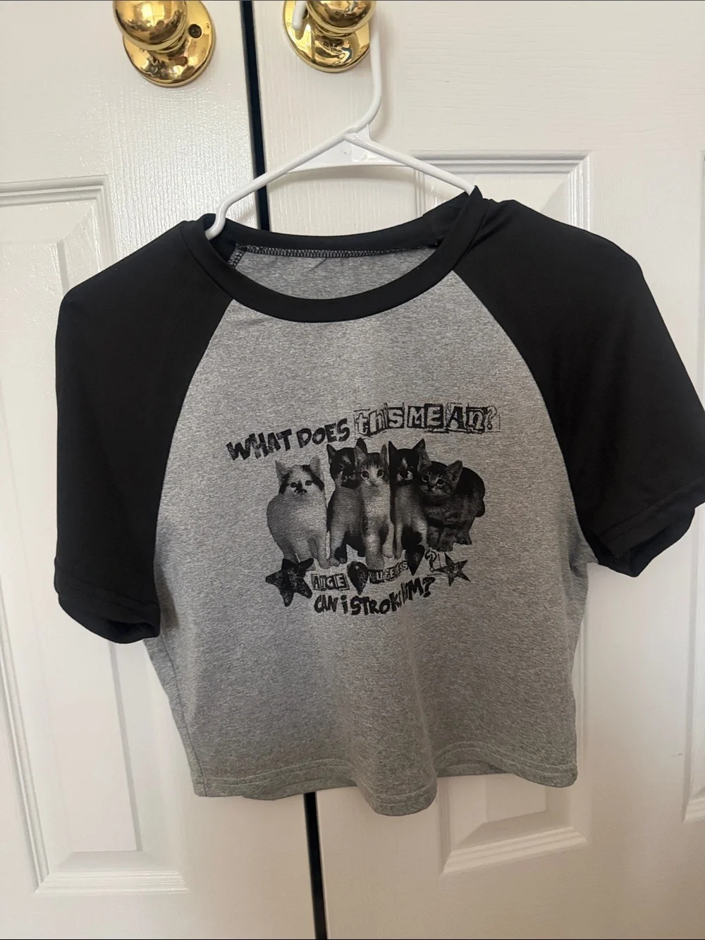 Unbranded Gray & Black Cat Graphic Crop Raglan Tee Asian Large